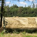 1136-ringkobing-hovervej-61