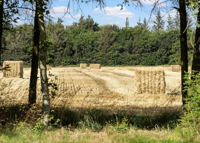 1136-ringkobing-hovervej-61 Hébergement de vacances Hee